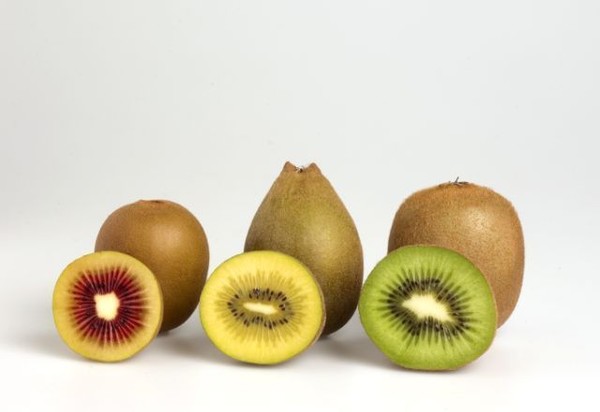 Red, Yellow & Green Kiwifruit Cultivars